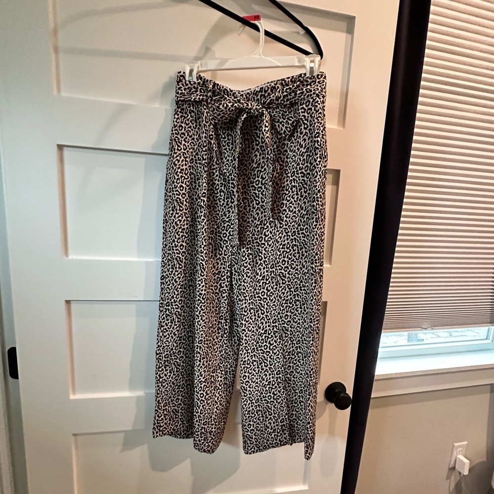Jcrew silk pants